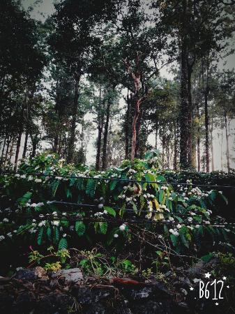 Aditi Thekkady Exterior photo