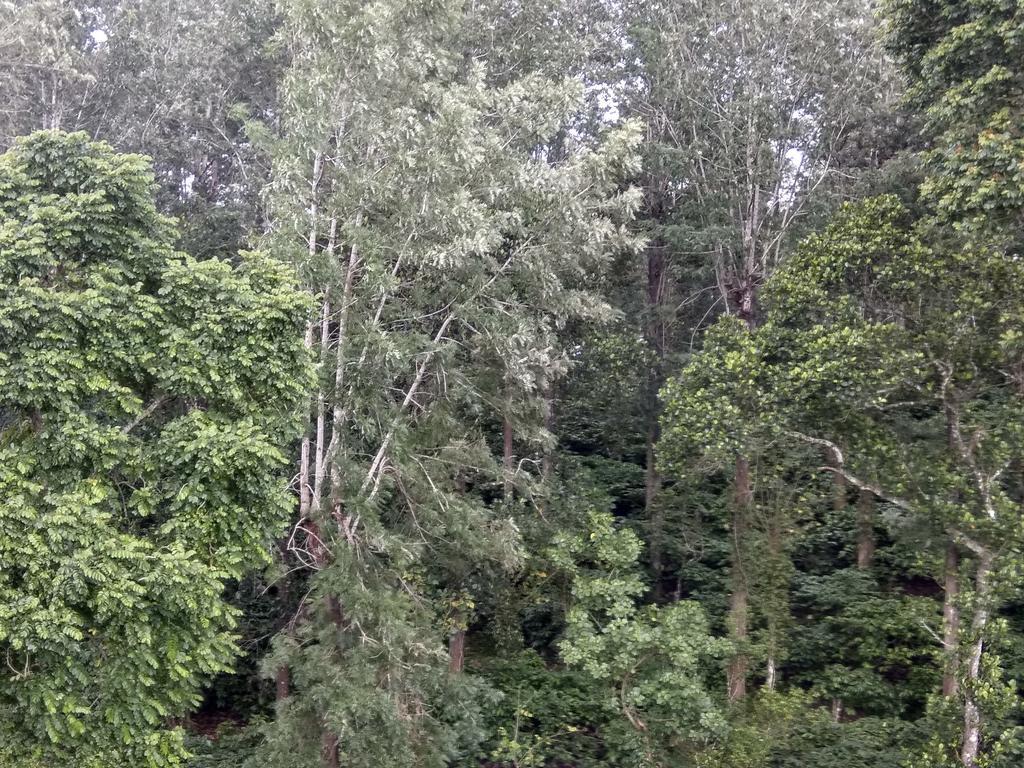 Aditi Thekkady Exterior photo
